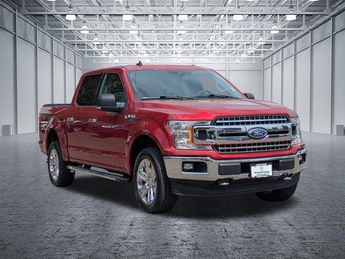 Used 2019 Ford F150 XLT w/ Equipment Group 302A Luxury AWD/4WD image 7