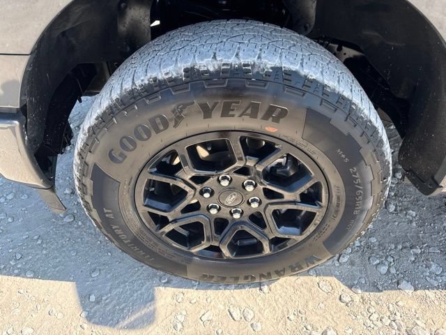 Used 2024 Ford F150 XLT w/ Equipment Group 302A MID AWD/4WD image 27