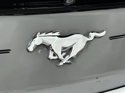 Used 2021 Ford Mustang Premium w/ Equipment Group 201A RWD image 34