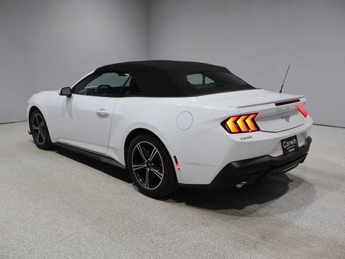 Used 2025 Ford Mustang Premium RWD image 4