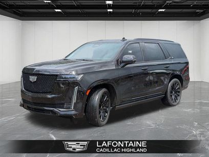 Certified 2024 Cadillac Escalade Sport Platinum w/ LPO, ONYX Package