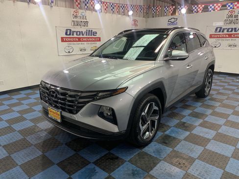 Used 2024 Hyundai Tucson Limited image 1