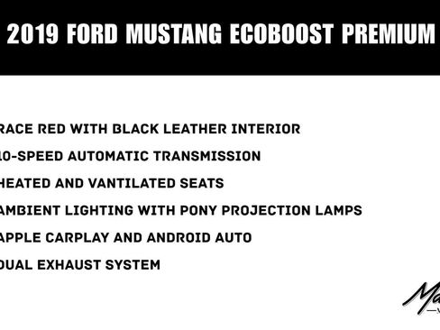 Used 2019 Ford Mustang Premium RWD image 2