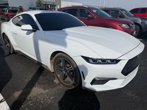 Used 2024 Ford Mustang Premium image 12