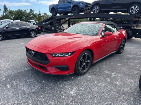 Used 2024 Ford Mustang Premium RWD image 1