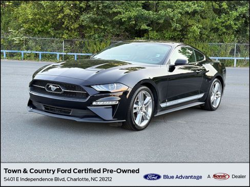 Used 2019 Ford Mustang Premium w/ Pony Package RWD image 1