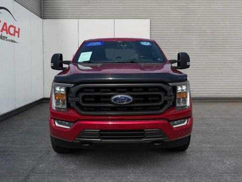 Used 2021 Ford F150 XLT w/ Equipment Group 302A High AWD/4WD image 5