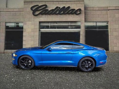 Used 2019 Ford Mustang Premium w/ Equipment Group 201A image 2
