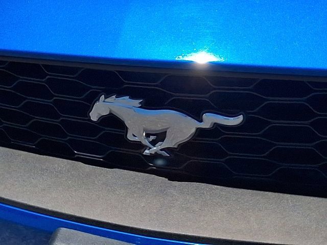 Used 2019 Ford Mustang Coupe RWD image 31