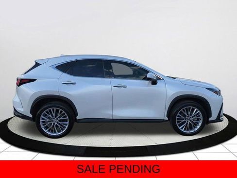 Used 2025 Lexus NX 350 AWD w/ Cold Area Package image 3