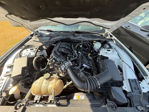 Used 2017 Ford Mustang Coupe RWD image 29