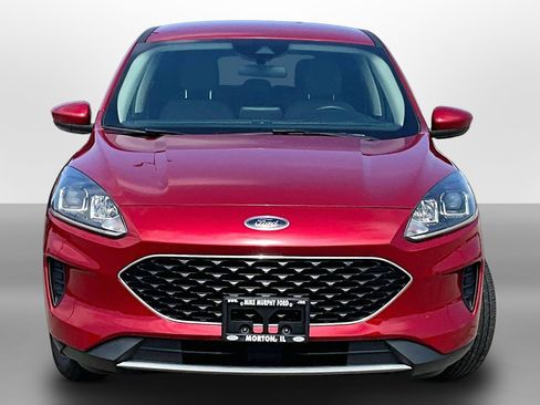 Used 2020 Ford Escape SE AWD/4WD image 3