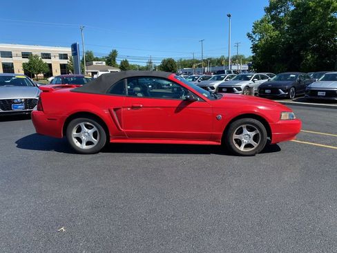 Used 2004 Ford Mustang Convertible RWD image 2