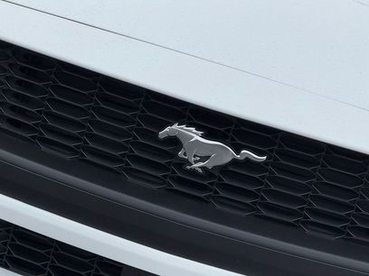 New 2026 Ford Mustang Coupe