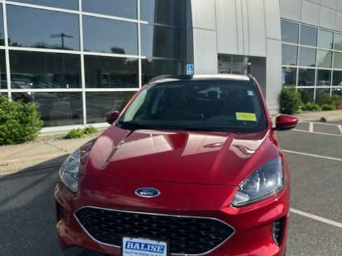 Used 2020 Ford Escape SE AWD/4WD image 2