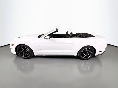 Used 2018 Ford Mustang Premium image 43