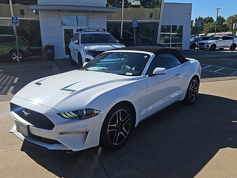 Used 2023 Ford Mustang Premium image 1