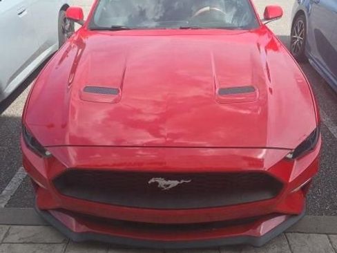 Used 2019 Ford Mustang Convertible w/ Equipment Group 101A RWD image 1