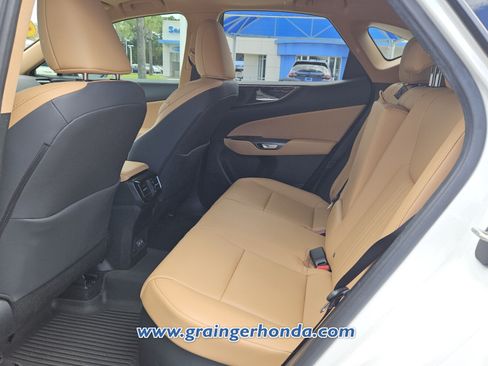 Used 2025 Lexus NX 350h AWD w/ Cold Area Package image 11
