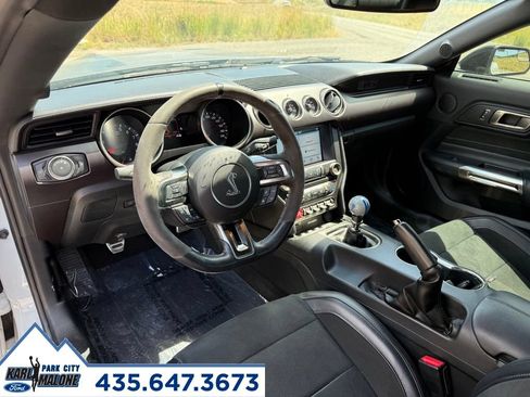 Used 2017 Ford Mustang Shelby GT350 RWD image 16