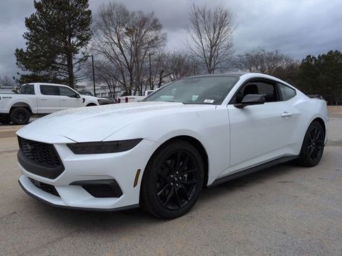 New 2026 Ford Mustang Coupe w/ Mustang Nite Pony Package image 8