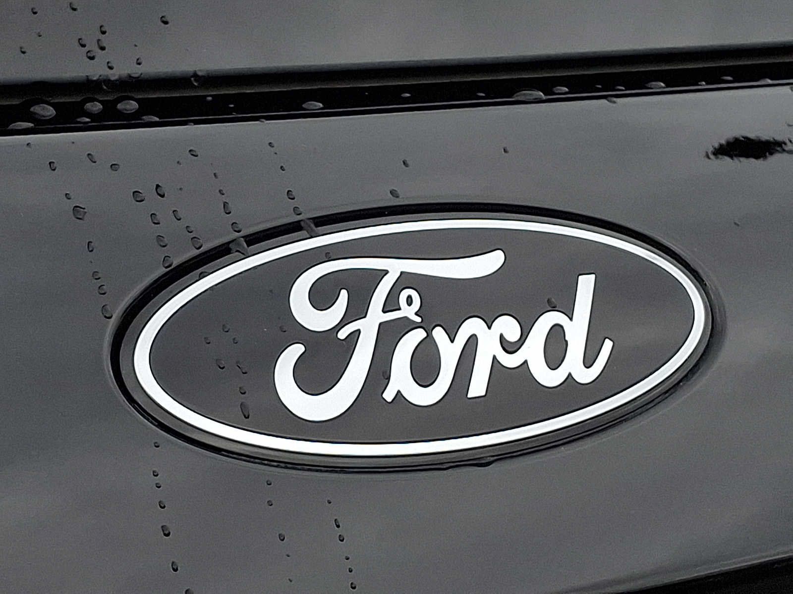 Certified 2025 Ford Expedition Tremor AWD/4WD image 29