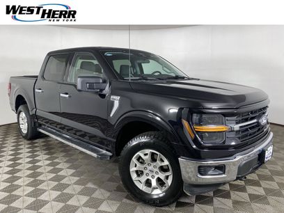 Used 2025 Ford F150 XLT w/ Equipment Group 301A Standard