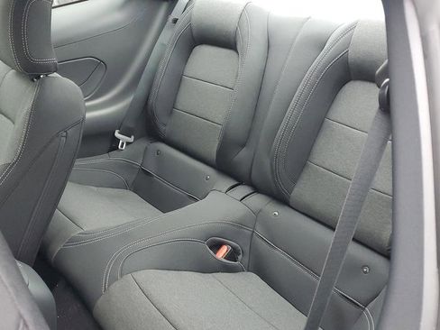 New 2026 Ford Mustang Coupe w/ Mustang Nite Pony Package image 14