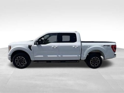 Used 2023 Ford F150 XLT w/ Equipment Group 302A High AWD/4WD image 12