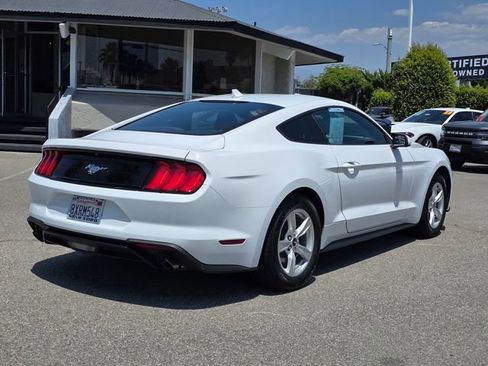 Used 2021 Ford Mustang Coupe RWD image 5
