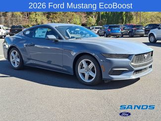 New 2026 Ford Mustang EcoBoost video 2