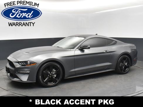 Used 2022 Ford Mustang Coupe w/ Equipment Group 101A image 5