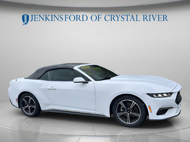 Used 2024 Ford Mustang Premium RWD image 2
