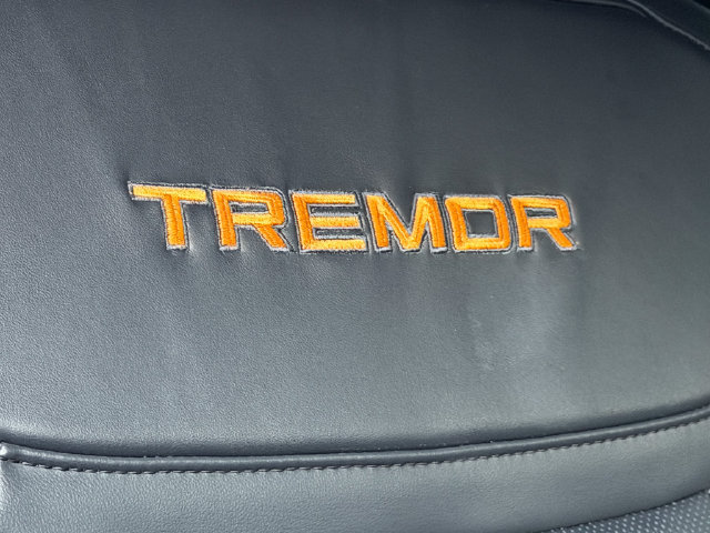 Used 2025 Ford Expedition Tremor AWD/4WD image 19