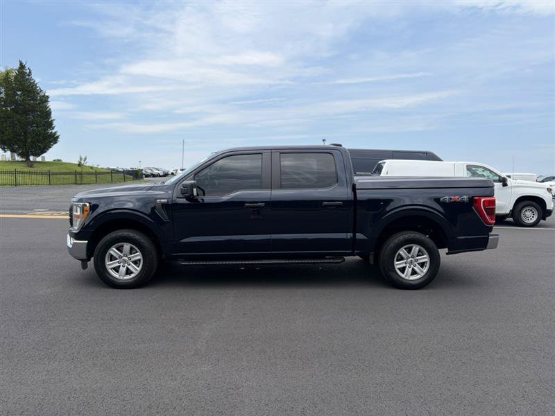 Used 2022 Ford F150 XL w/ Equipment Group 101A High AWD/4WD image 5