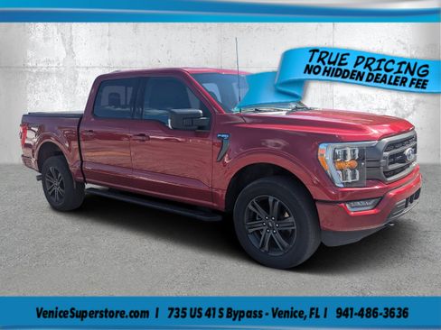 Used 2022 Ford F150 XLT w/ Equipment Group 302A High AWD/4WD image 1
