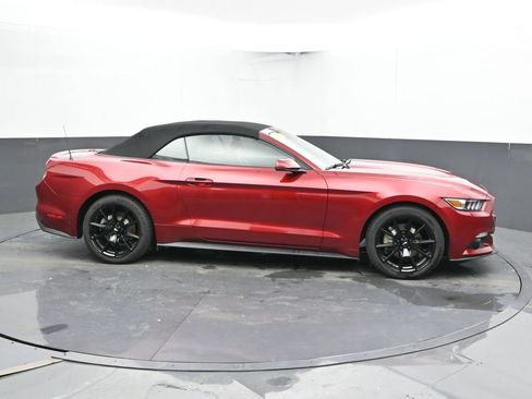 Used 2015 Ford Mustang Premium w/ Equipment Group 201A RWD image 3
