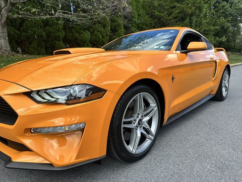Used 2019 Ford Mustang Coupe w/ Ecoboost Performance Package RWD image 61