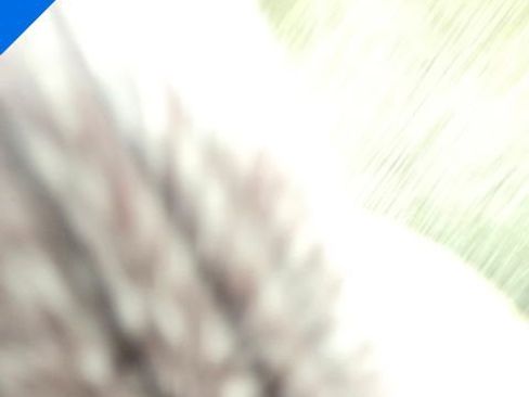 Used 2006 Chevrolet Tahoe 2WD w/ Preferred Equipment Group image 10