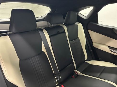 Certified 2024 Lexus NX 250 250 Base image 13