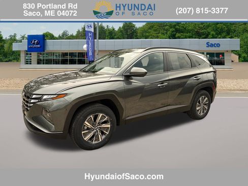 Used 2024 Hyundai Tucson Blue AWD/4WD image 1