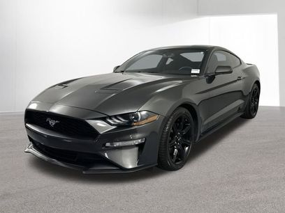 Used 2019 Ford Mustang Coupe w/ Black Accent Package