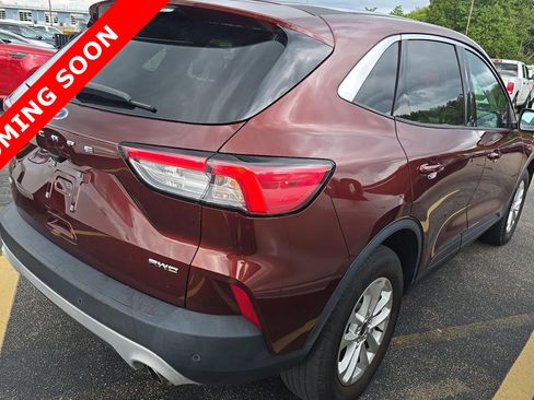 Used 2021 Ford Escape SE AWD/4WD image 4