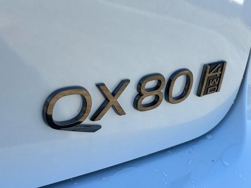 New 2026 INFINITI QX80 Autograph w/ Premium Cargo Package image 19