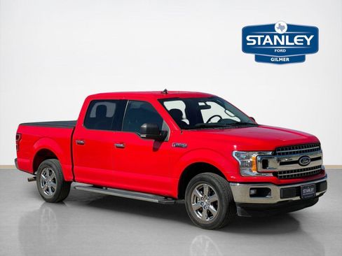 Used 2019 Ford F150 XLT w/ Equipment Group 302A Luxury image 1