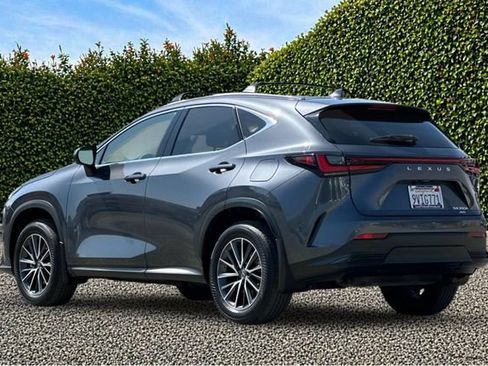 Used 2025 Lexus NX 350h AWD w/ Accessory Package (2T) image 6