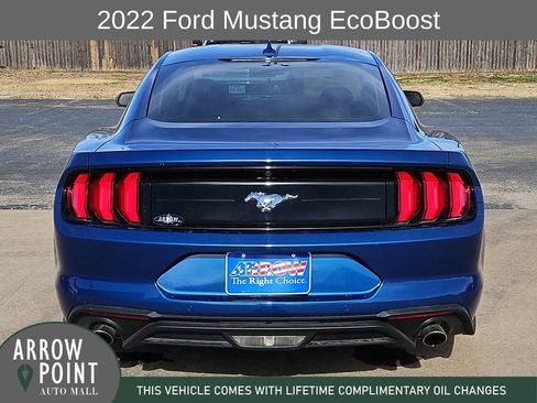 Used 2022 Ford Mustang Coupe w/ Equipment Group 101A image 10