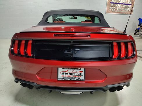 Used 2019 Ford Mustang GT Premium w/ Equipment Group 401A RWD image 7