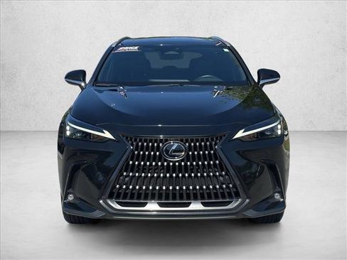 Used 2025 Lexus NX 350h AWD w/ Cold Area Package image 2