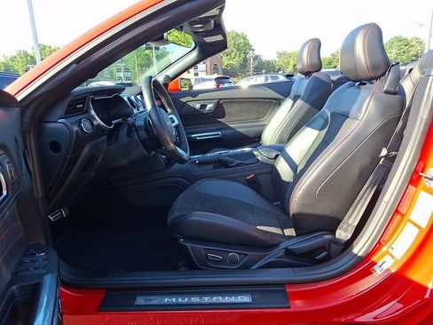 Used 2019 Ford Mustang GT Premium w/ Equipment Group 401A RWD image 13